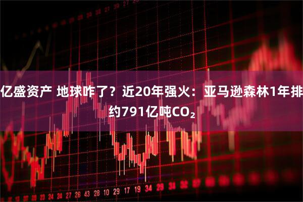 亿盛资产 地球咋了？近20年强火：亚马逊森林1年排约791亿吨CO₂