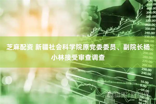 芝麻配资 新疆社会科学院原党委委员、副院长杨小林接受审查调查