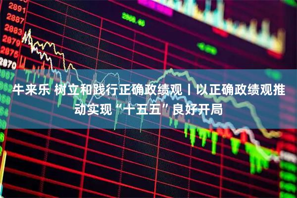 牛来乐 树立和践行正确政绩观丨以正确政绩观推动实现“十五五”良好开局