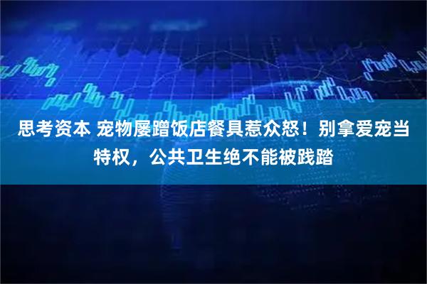 思考资本 宠物屡蹭饭店餐具惹众怒！别拿爱宠当特权，公共卫生绝不能被践踏