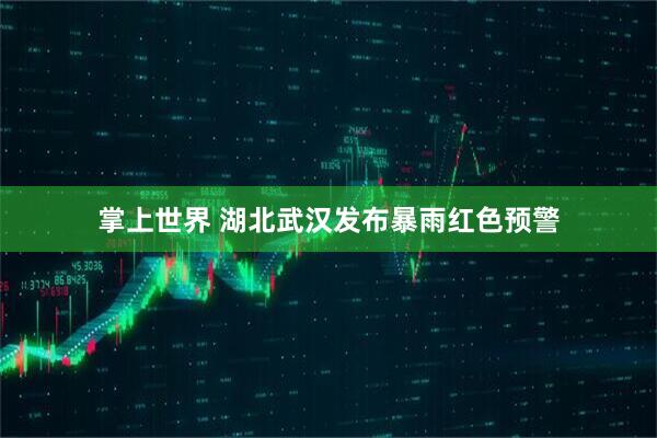 掌上世界 湖北武汉发布暴雨红色预警