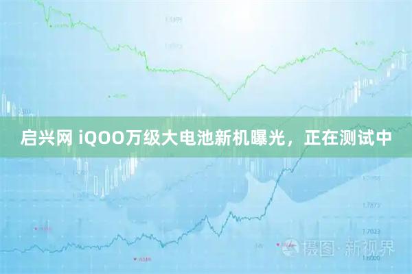 启兴网 iQOO万级大电池新机曝光，正在测试中